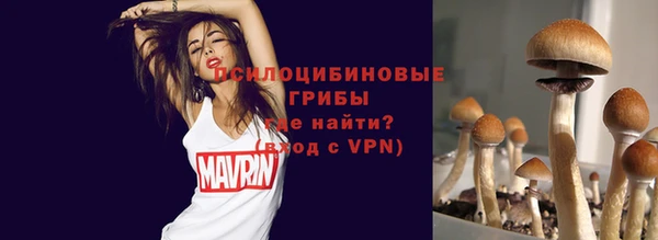 мяу мяу мука Абинск