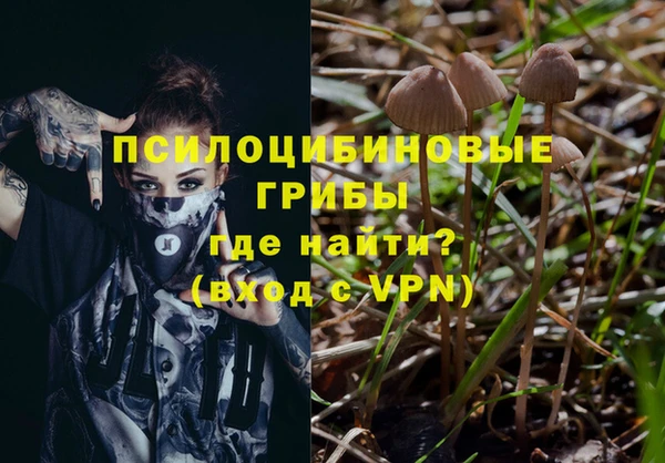 мяу мяу мука Абинск